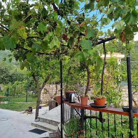 Guest House Duletic Будва Екстер'єр фото